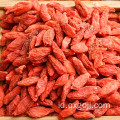 Goji berry organik kering wolfberries pembelian online